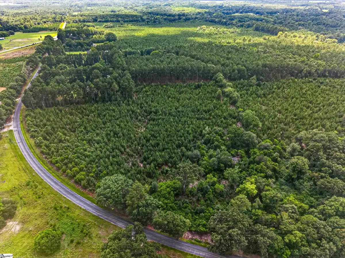 Charlie Rast Road, Swansea, SC 29160 - #1