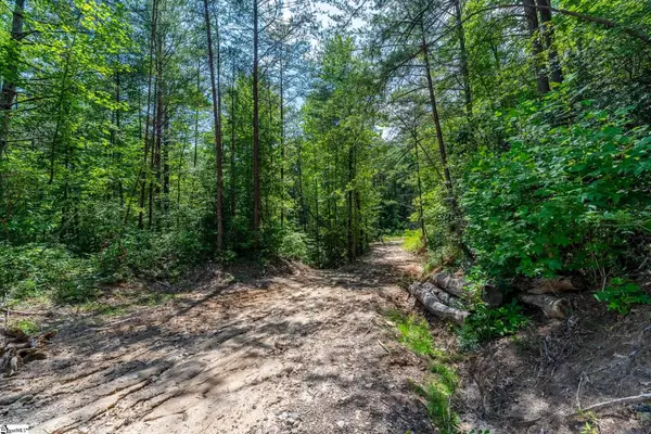 0 Fairway Woods Drive, Pickens, SC 29671