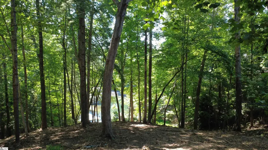 601 Wind Flower Drive, Sunset, SC 29685 - #3