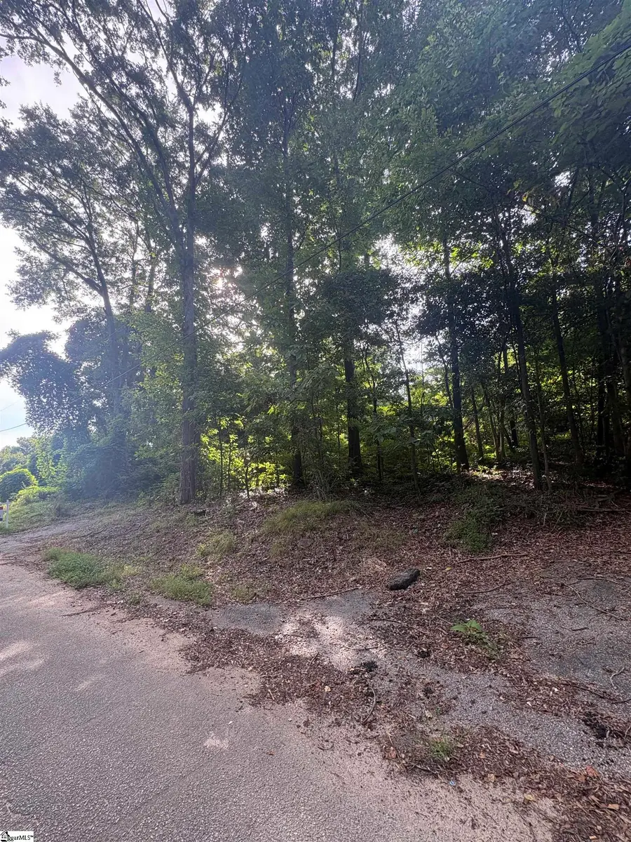 103 Jersey Street, Laurens, SC 29360 - #3