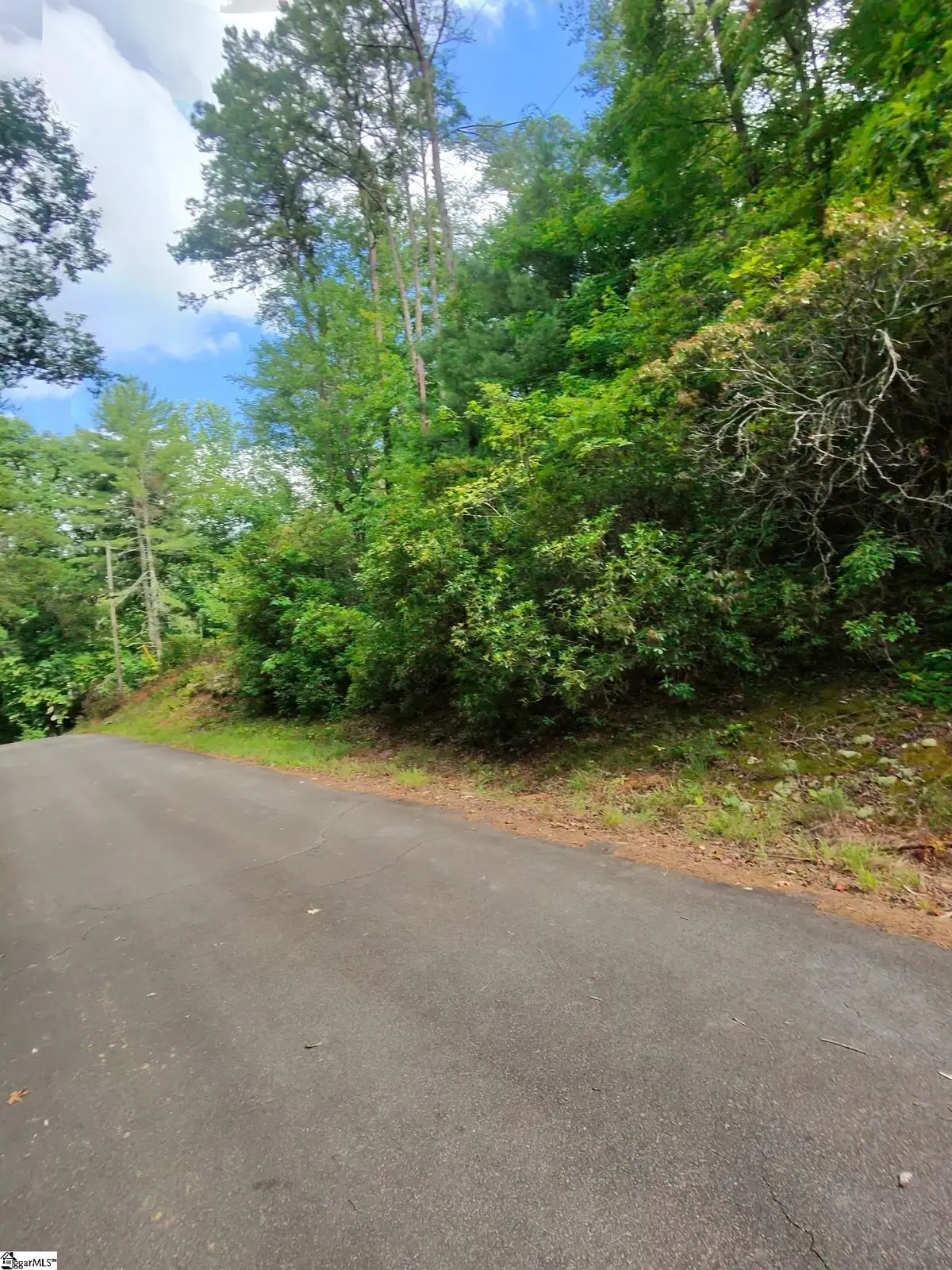 00 Silver Shoals Circle, Marietta, SC 29661 - #1