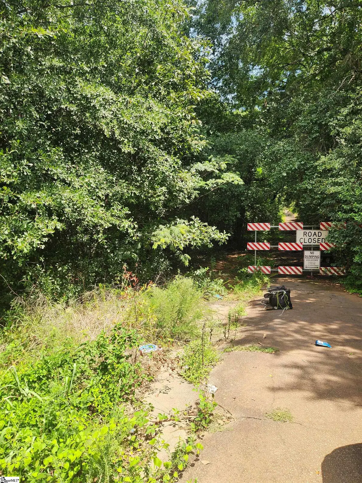 TBD Old Piedmont Highway, Greenville, SC 29605 - #1