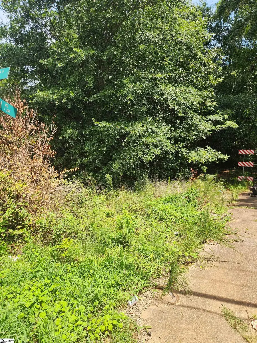 TBD Old Piedmont Highway, Greenville, SC 29605 - #2