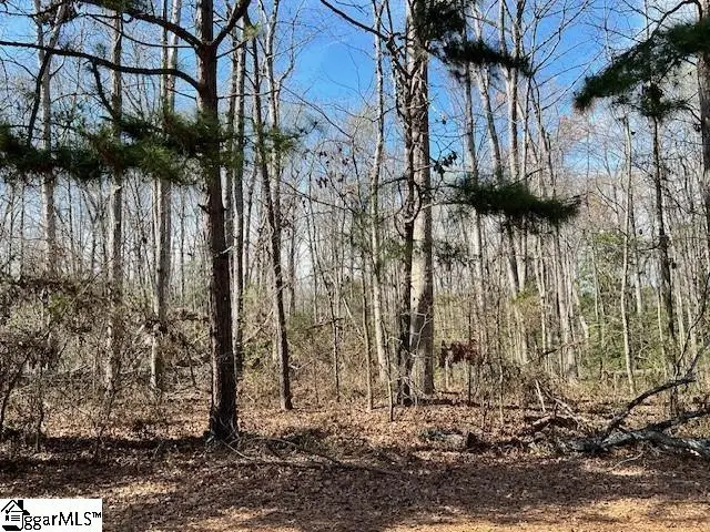 143 Katora Lane, Pelzer, SC 29669 - #1