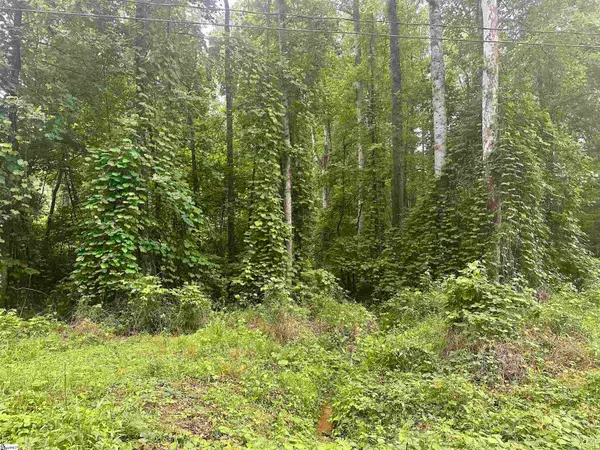 00 Dacusville Road, Marietta, SC 29661