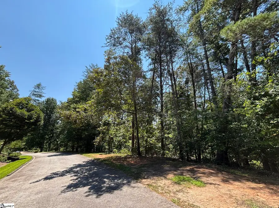 111 Sweetshrub Way, Sunset, SC 29685 - #2