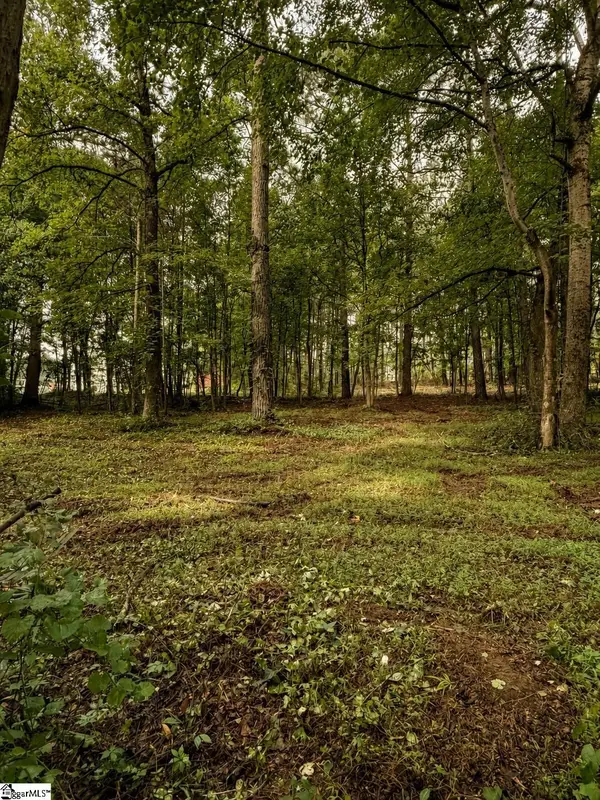 Tract 2 Old Mill Road, Easley, SC 29642