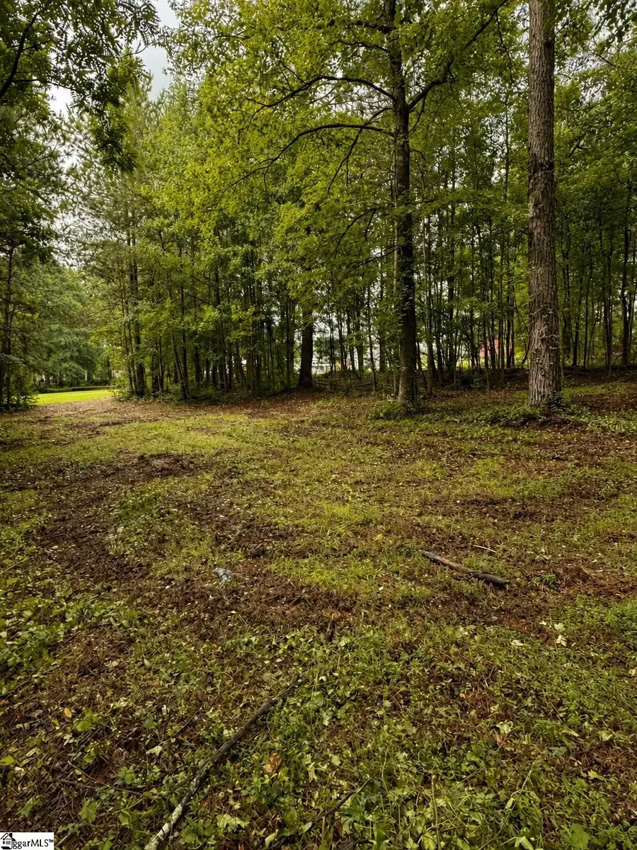 Tract 2 Old Mill Road, Easley, SC 29642 - #2