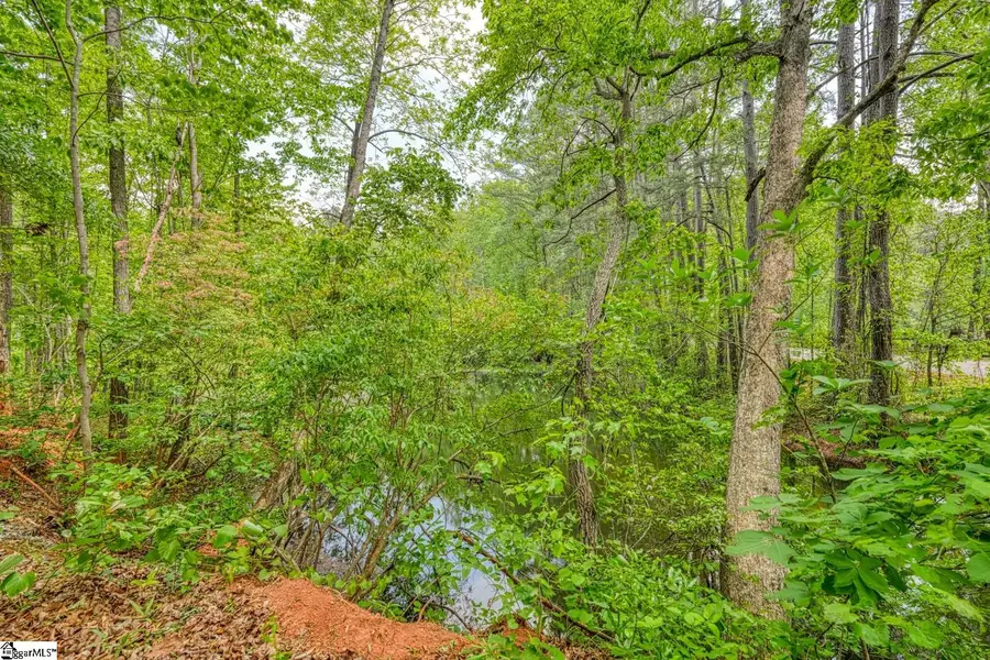 0 Motlow Creek Road, Campobello, SC 29322 - #2