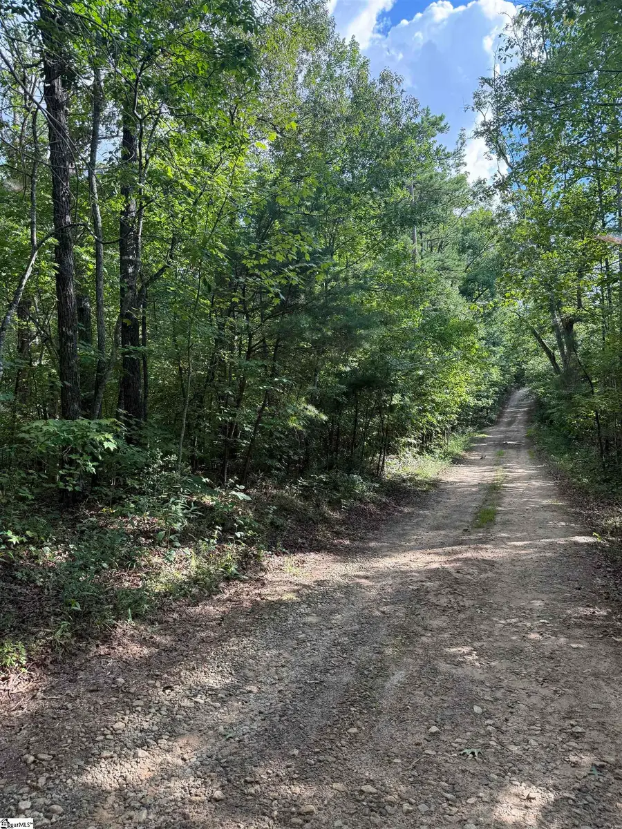 00 Daves Valley Road, Pickens, SC 29671 - #2