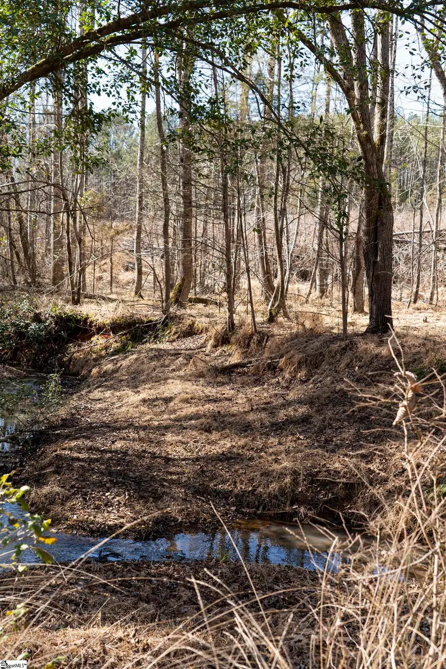 00 Loftis Road, Antreville Lowndesville, SC 29603 - #3