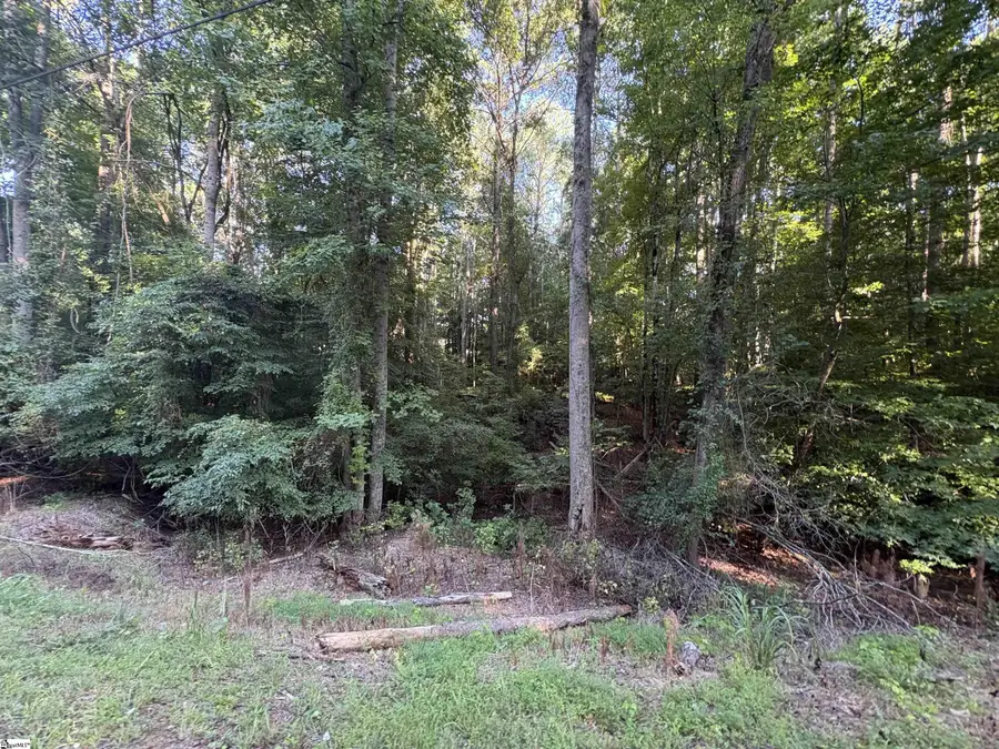 8 Trey Lane, Ware Shoals, SC 93442 - #2