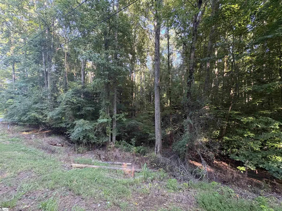 8 Trey Lane, Ware Shoals, SC 93442 - #3