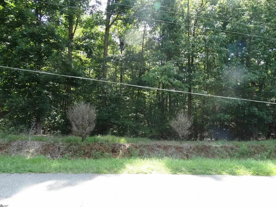 76 Tanyard Road, Greenville, SC 29609 - #2