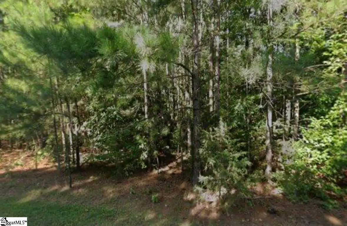 203 Ferncliff Drive, Greenwood, SC 29649 - #1