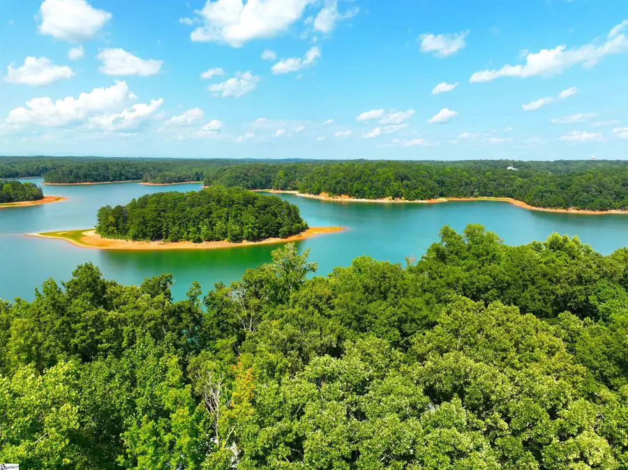 322 Lakeview Drive, Townville, SC 29689 - #2