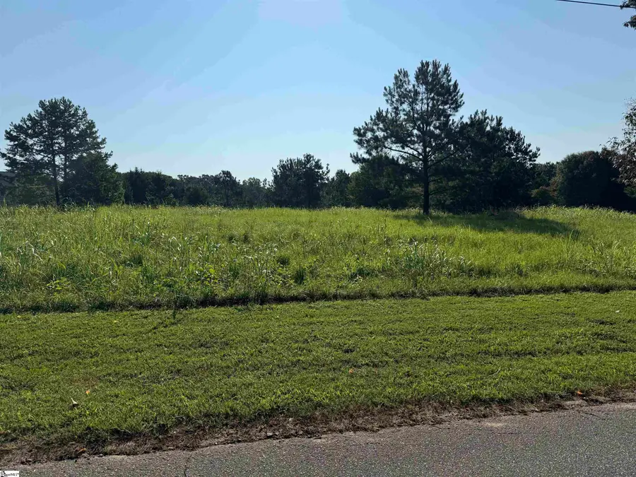 0 Joe Leonard Road, Greer, SC 29651-0000 - #3
