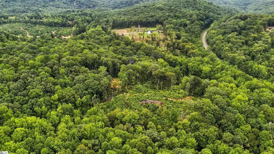 139 Old Sc 11 Highway, Travelers Rest, SC 29690 - #3