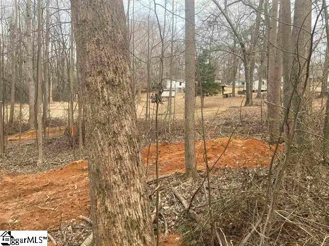 159 Rockingham Road, Duncan, SC 29334 - #2