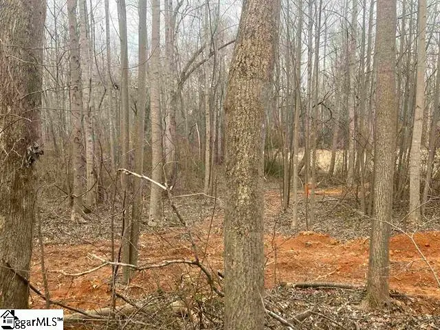 159 Rockingham Road, Duncan, SC 29334 - #3