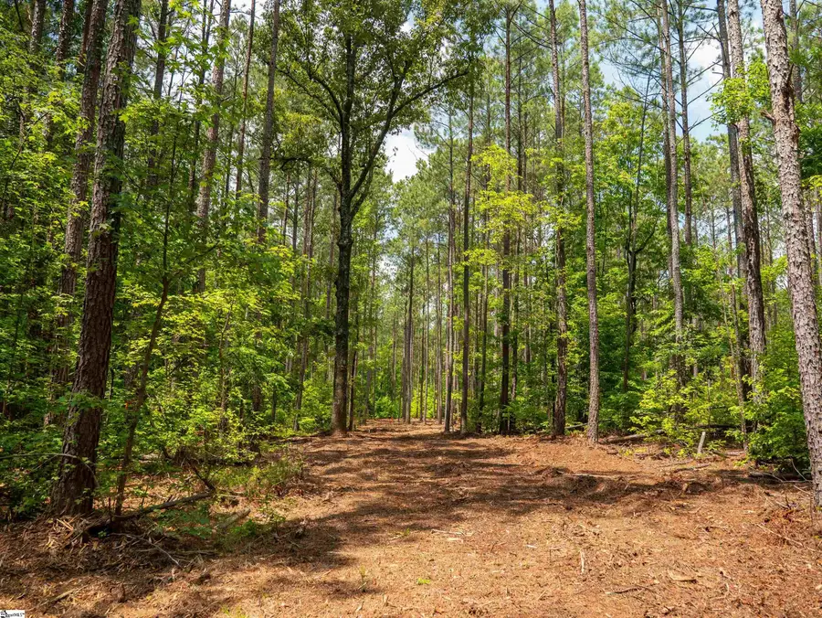 00 Cheek Road #Lot 15, Gray Court, SC 29645 - #2