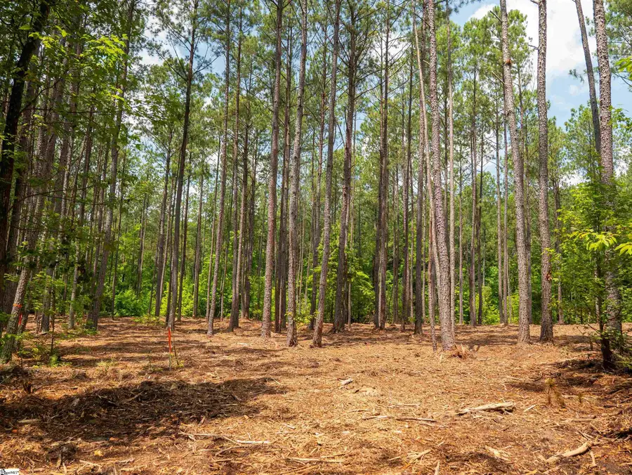00 Cheek Road #Lot 15, Gray Court, SC 29645 - #3