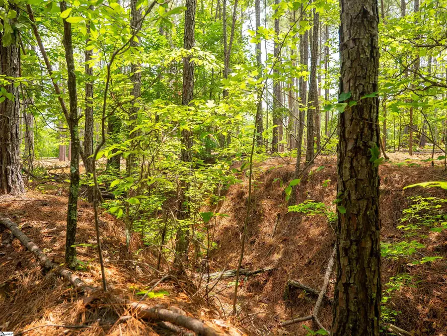 00 Cheek Road #Lot 16, Gray Court, SC 29645 - #2