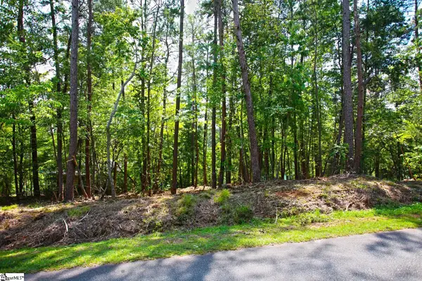 590 Old Chapman Bridge Road, Salem, SC 29676