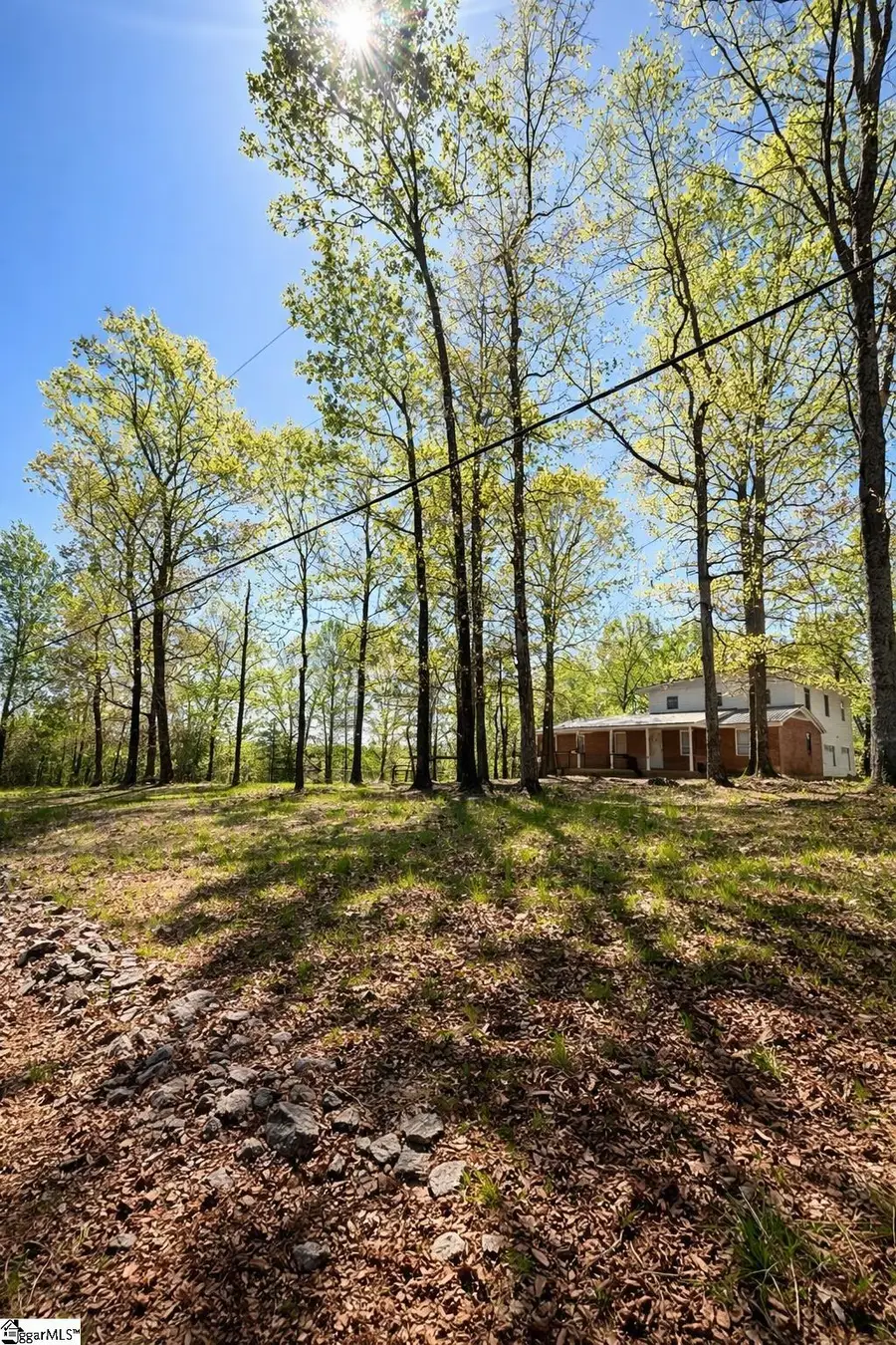 4124 414 Highway, Landrum, SC 29356 - #2