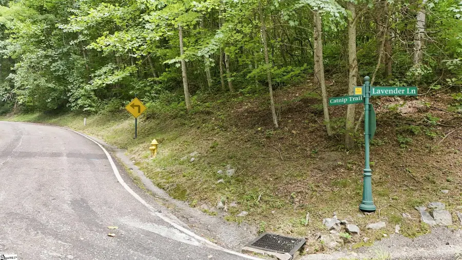 164 Catnip Trail, Landrum, SC 29356 - #2