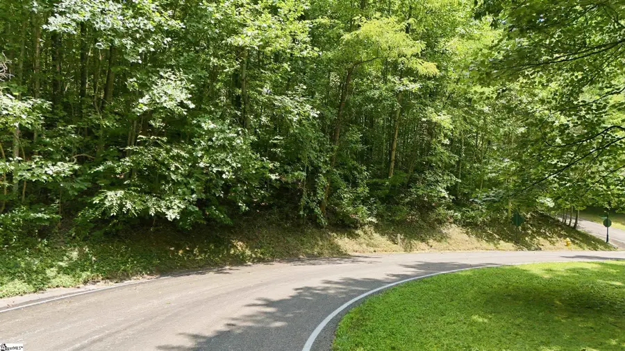 164 Catnip Trail, Landrum, SC 29356 - #3