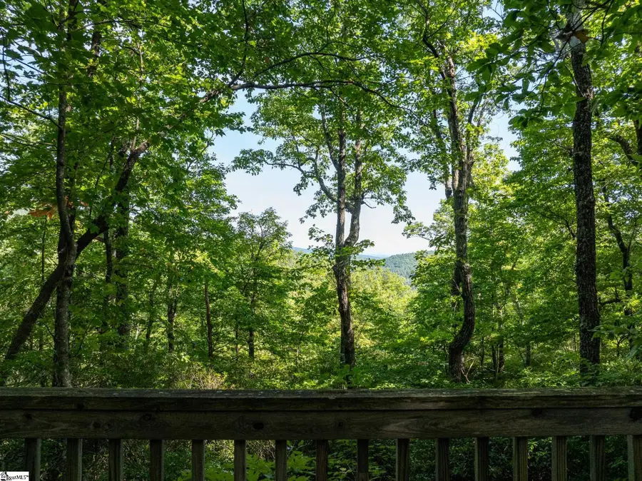 0 Panther Mountain Road #CVN-CVN-025 Lot 25, Zirconia, NC 28790 - #3