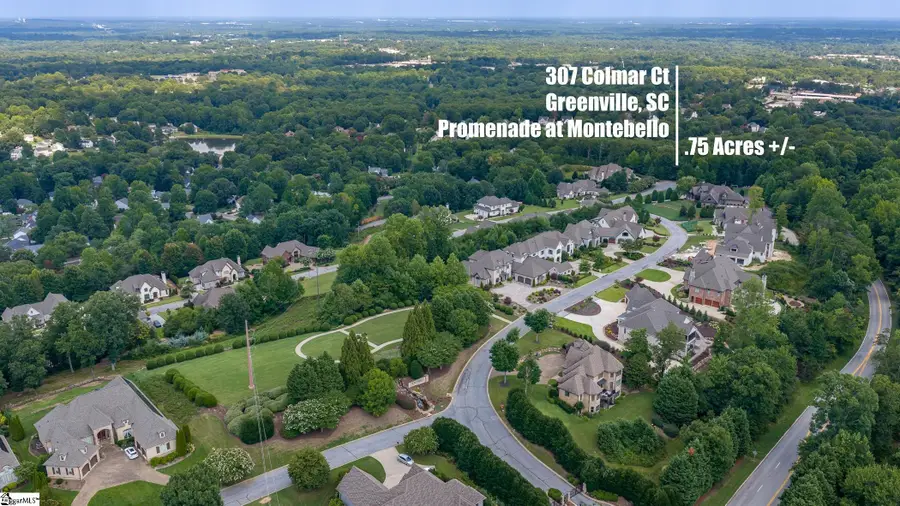 207 Colmar Court, Greenville, SC 29609 - #2