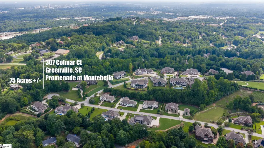 207 Colmar Court, Greenville, SC 29609 - #3