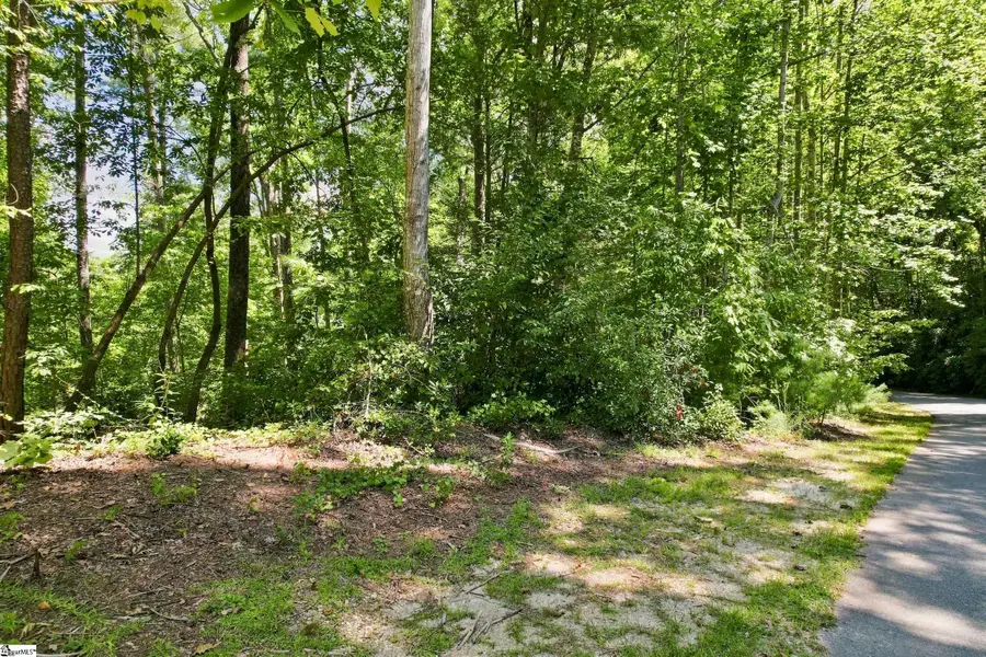 926 Bay Ridge Drive, Salem, SC 29676 - #3
