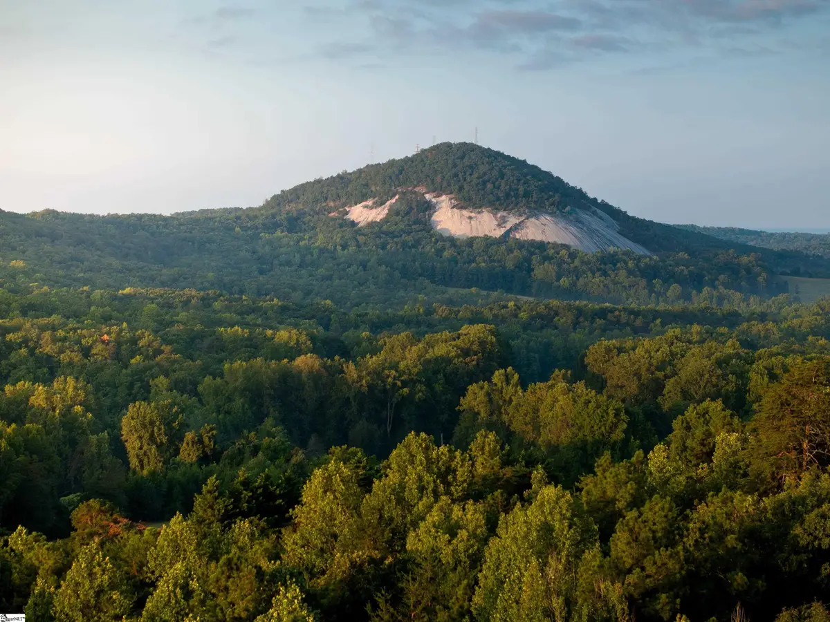00 Anthony Road, Pickens, SC 29671 - #1