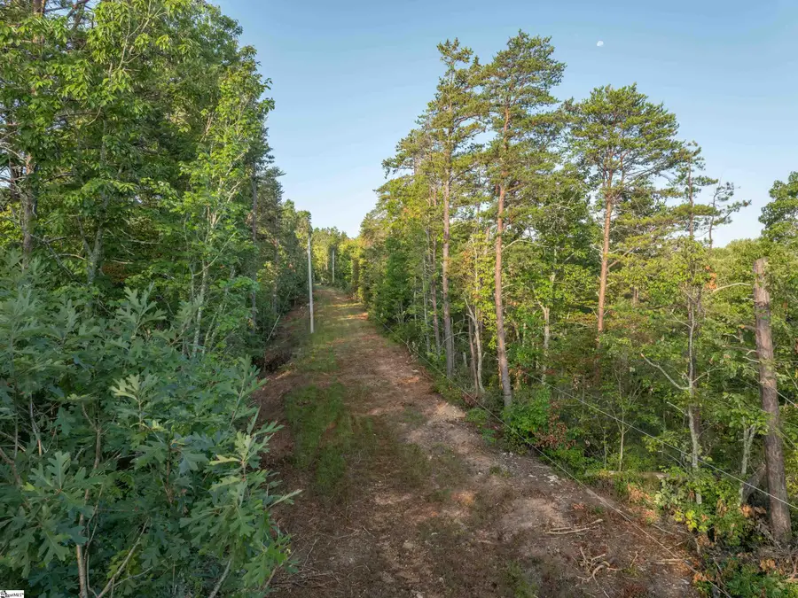 00 Anthony Road, Pickens, SC 29671 - #2