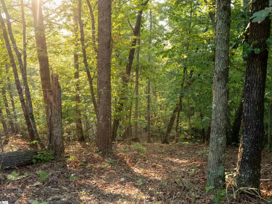 00 Anthony Road, Pickens, SC 29671 - #3