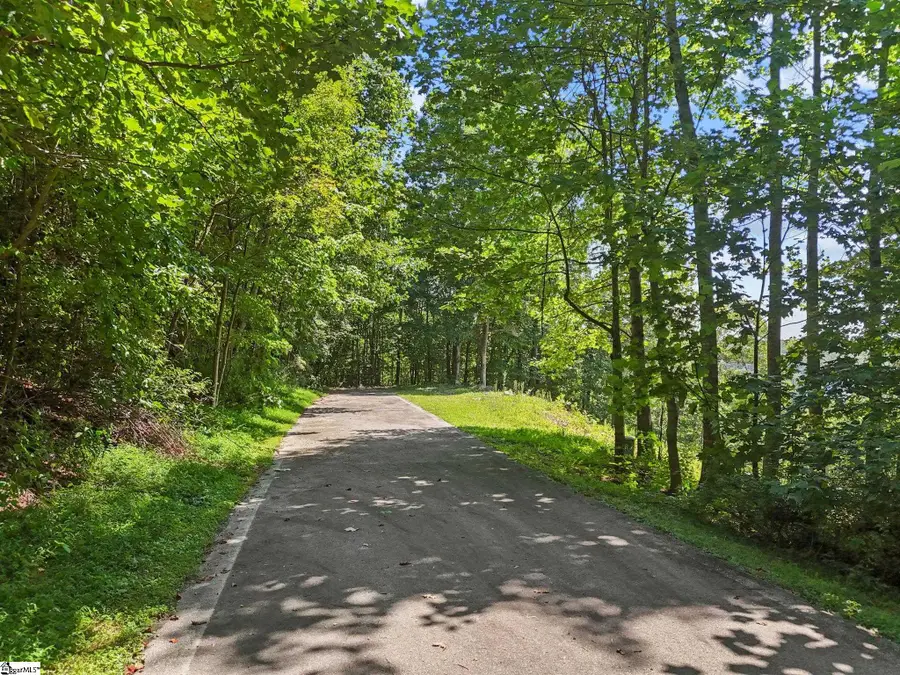 1394 Mountain Summit Road, Travelers Rest, SC 29690 - #3