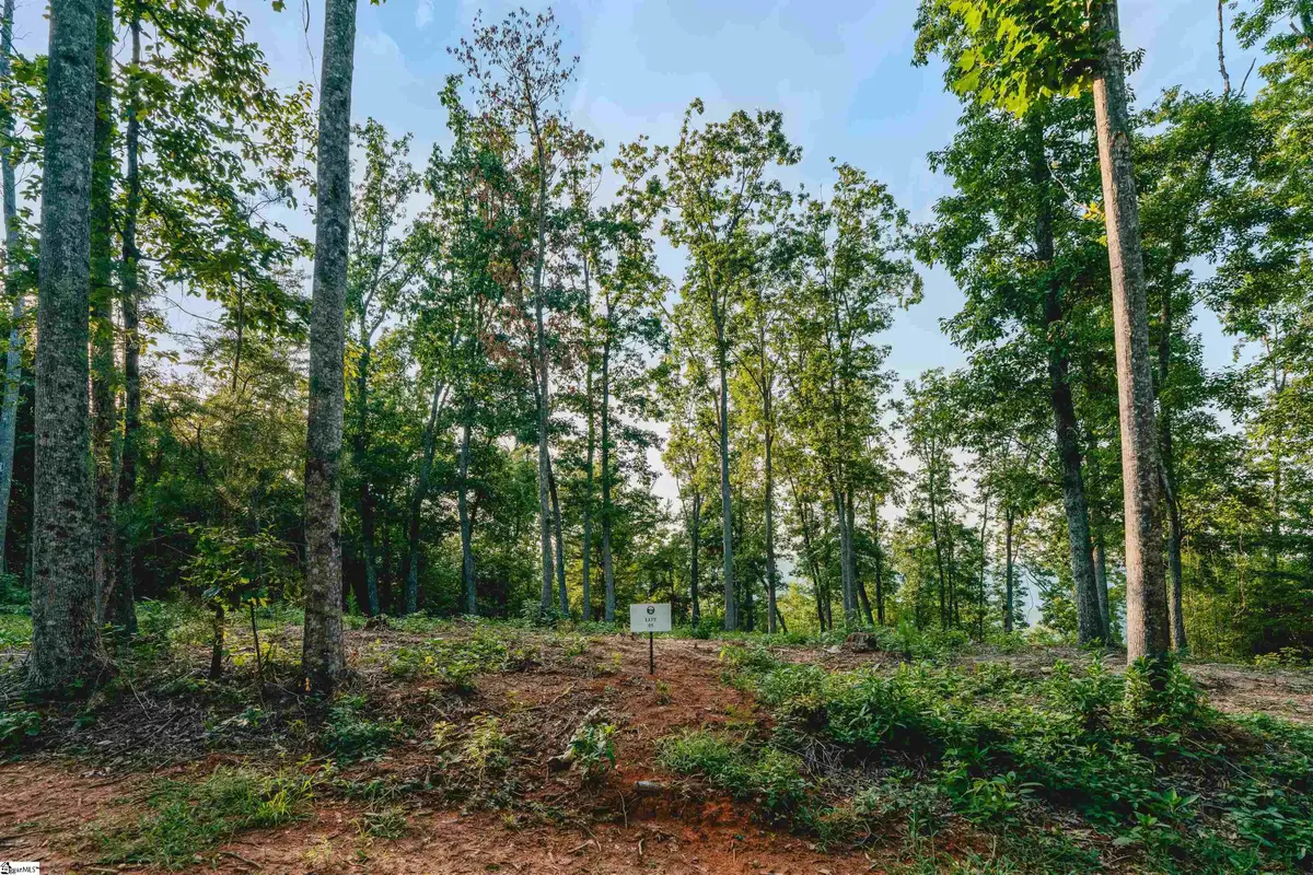 200 Chestnut Mountain Road #Lot 5, Travelers Rest, SC 29690 - #1