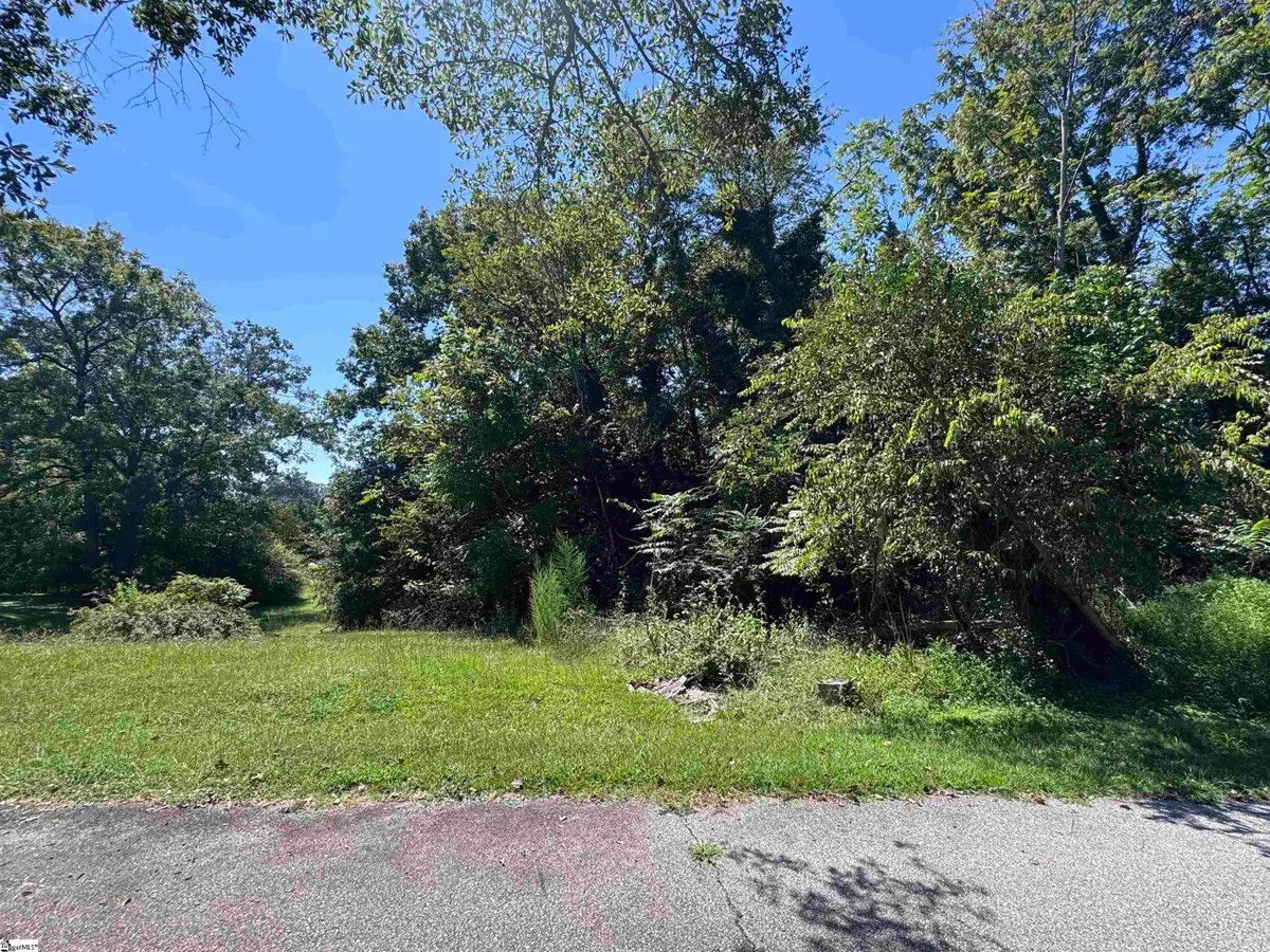 Skyuka Street, Drayton, SC 29333 - #1
