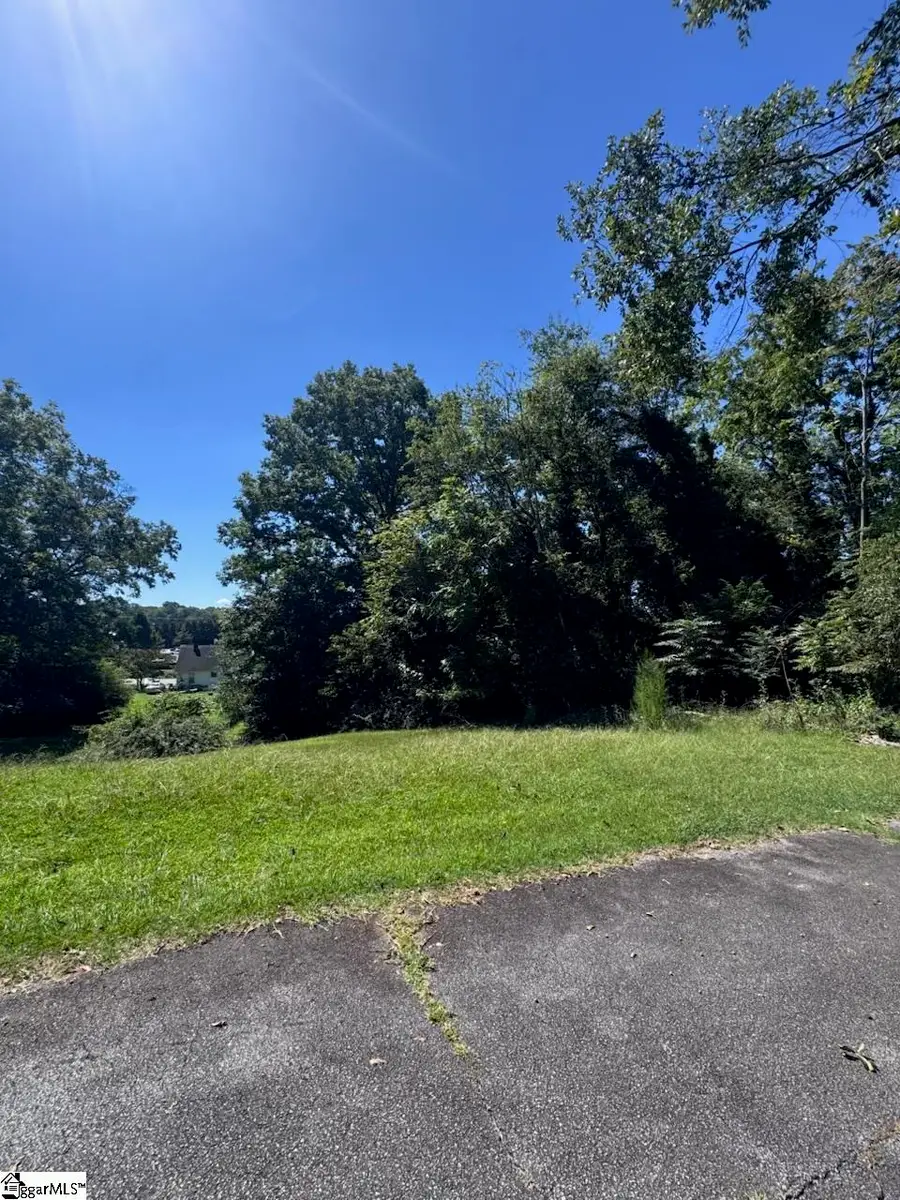 Skyuka Street, Drayton, SC 29333 - #3