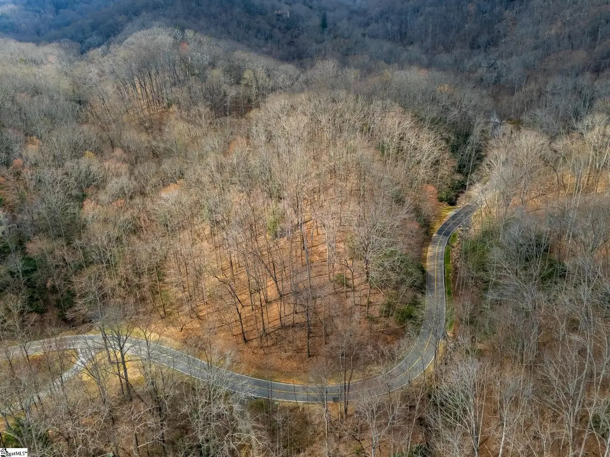 301 Limestone Trail, Landrum, SC 29356 - #1