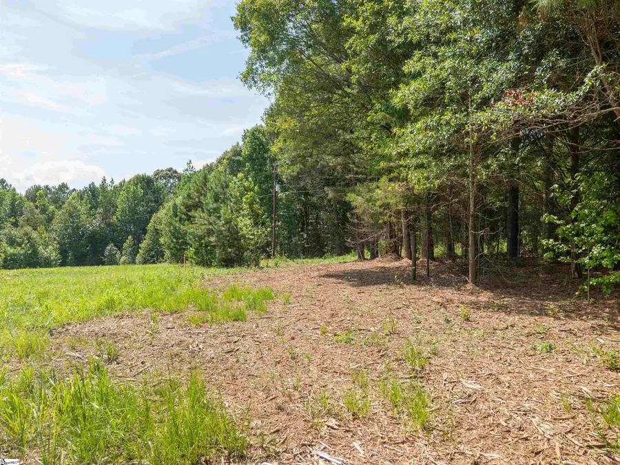 00 Cheek Road #Lot 1, Gray Court, SC 29645 - #2