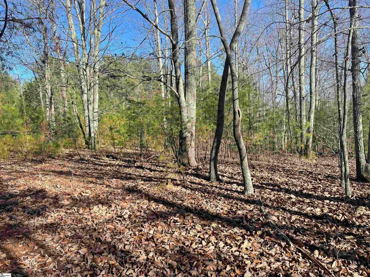 00 Highway 11 #Lot 2, Campobello, SC 29322 - #1