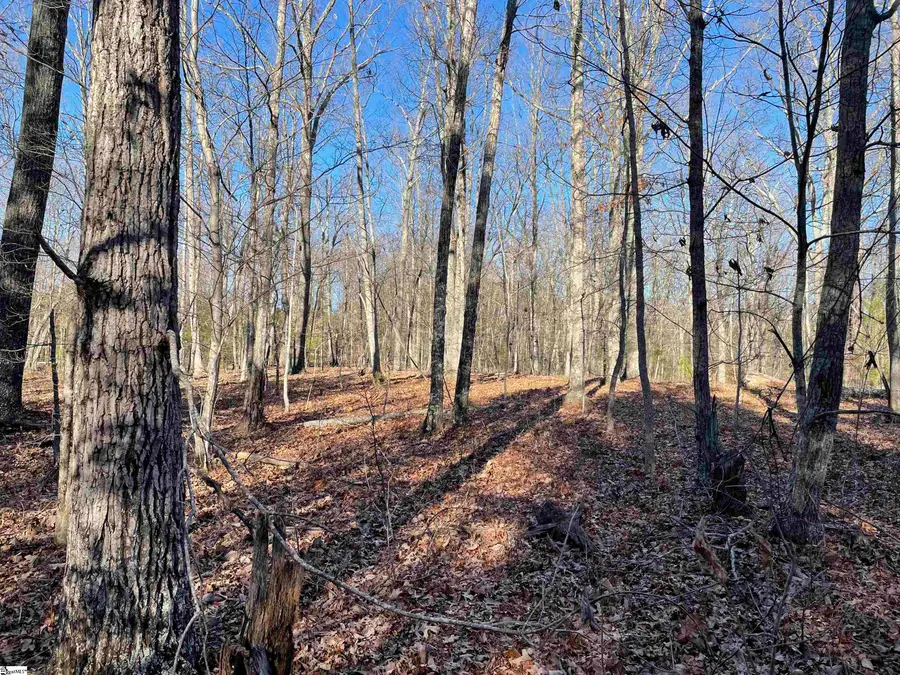 00 Highway 11 #Lot 2, Campobello, SC 29322 - #2