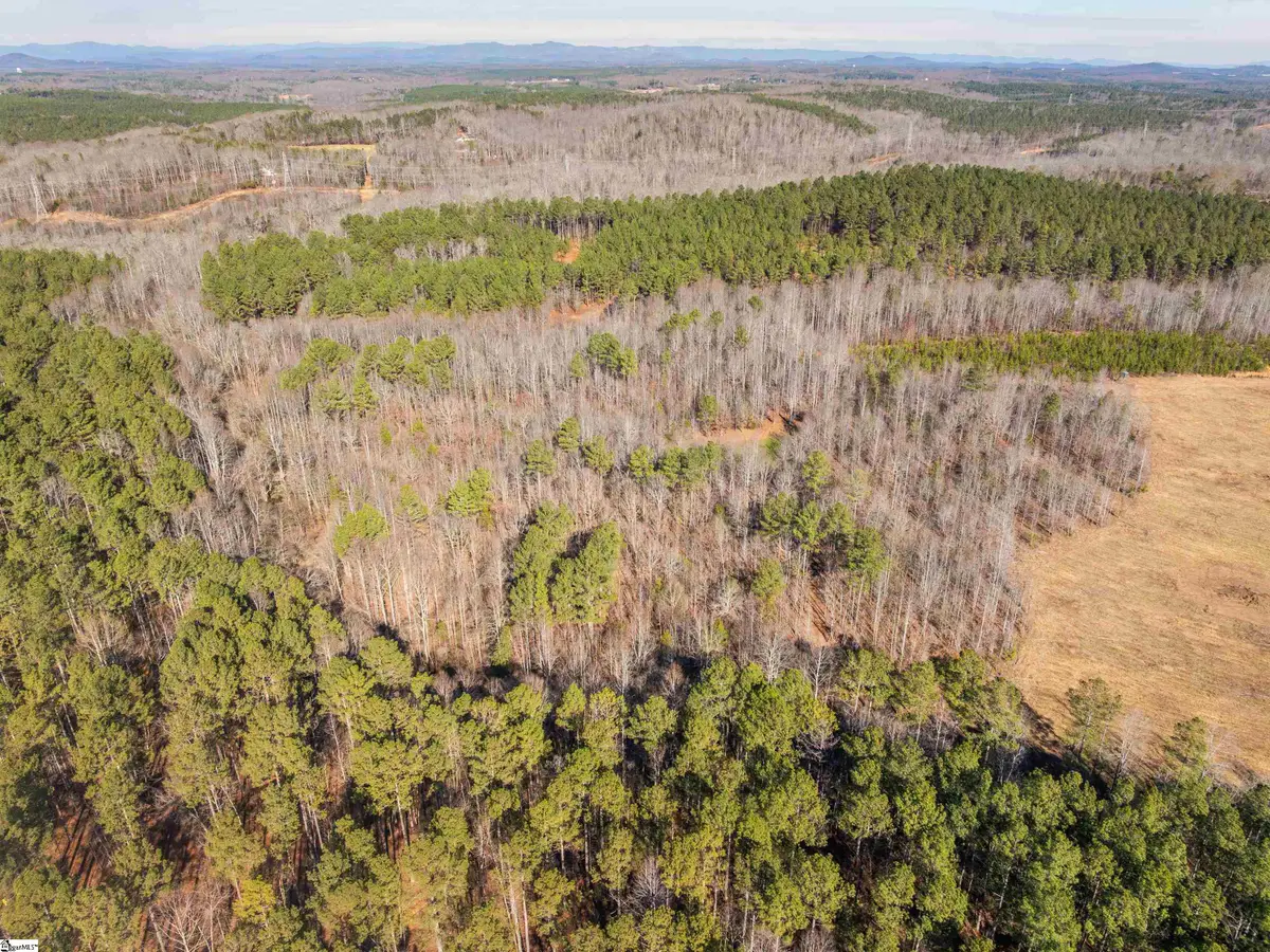 Mill Pine Road #Lots 10 & 11, Liberty, SC 29657 - #1