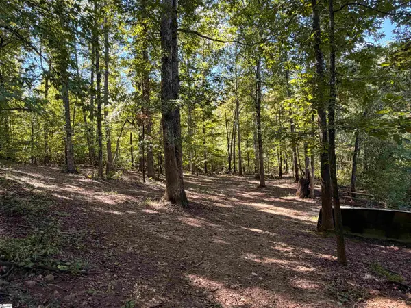 00 Saint Paul (tract A) Road, Easley, SC 29673