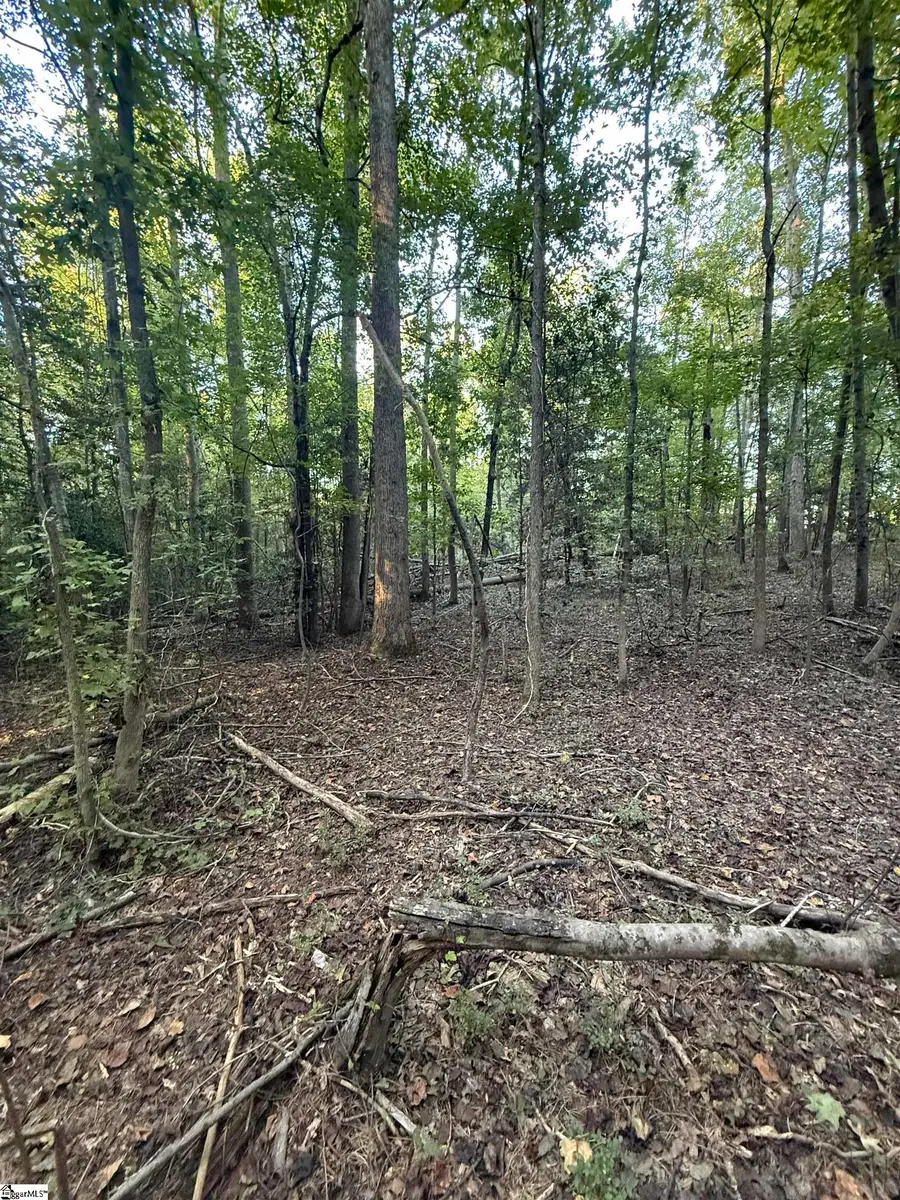 627 Daventon Road, Honea Path, SC 29654 - #2