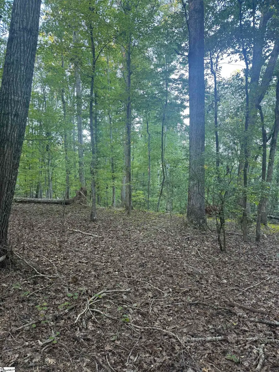 627 Daventon Road, Honea Path, SC 29654 - #3